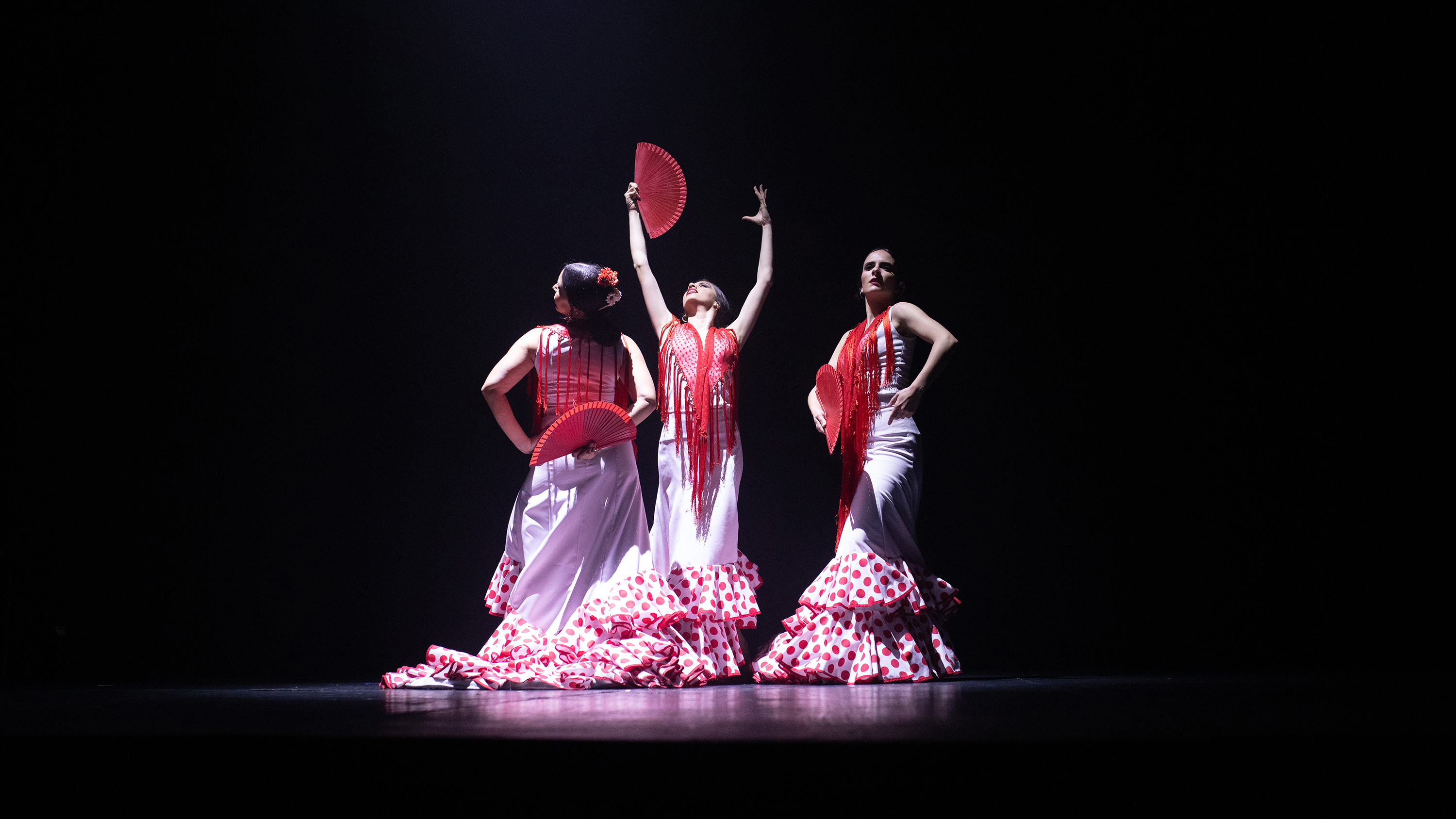 Cast Dancers of Teatro Flamenco Sevilla in Seville, Spain. Copyright / Credit: Sean Biffar.